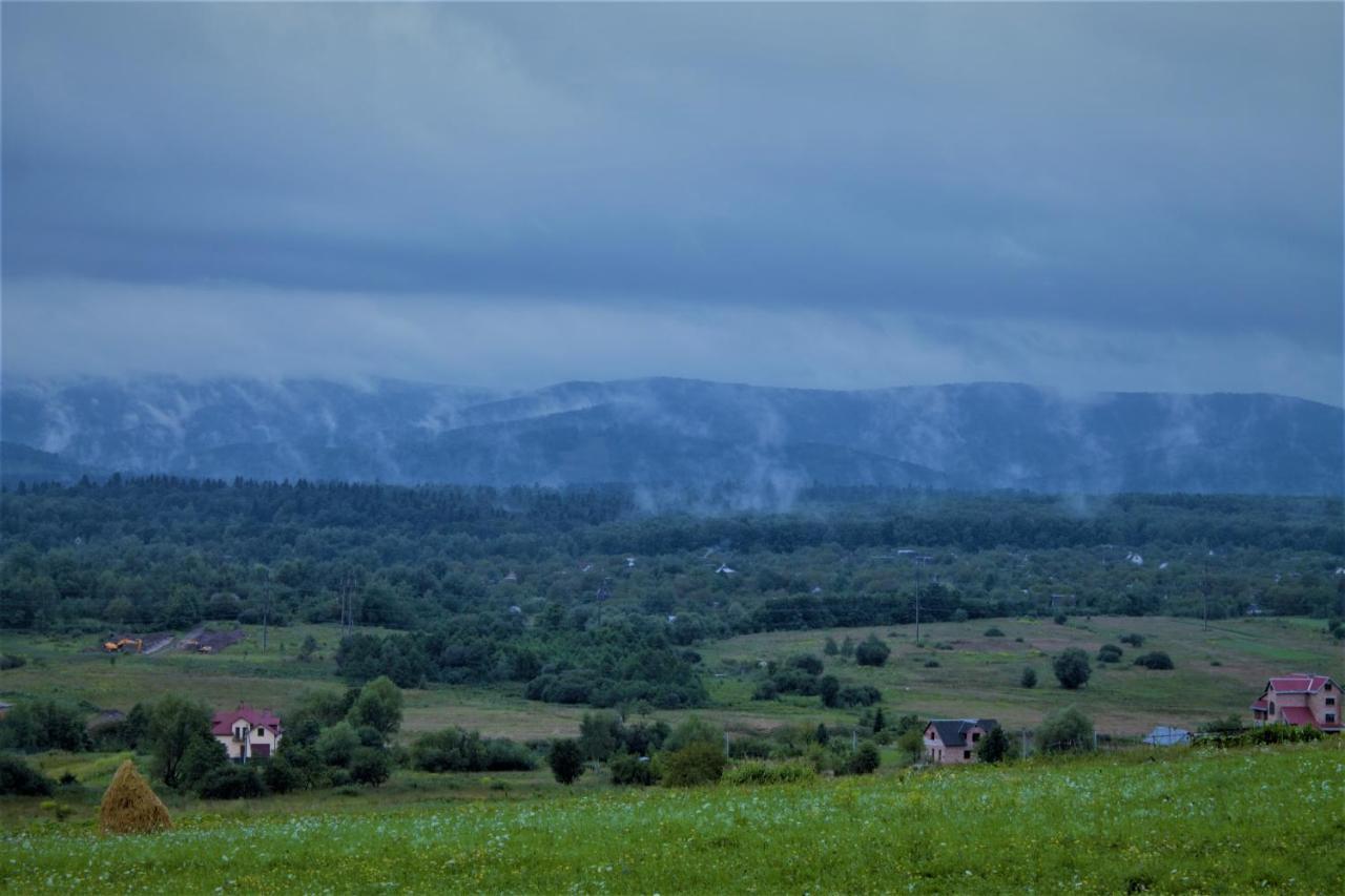 Villa Family House Truskavets Modrychi エクステリア 写真
